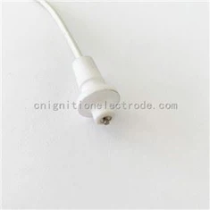 ओवन स्पार्क प्लग